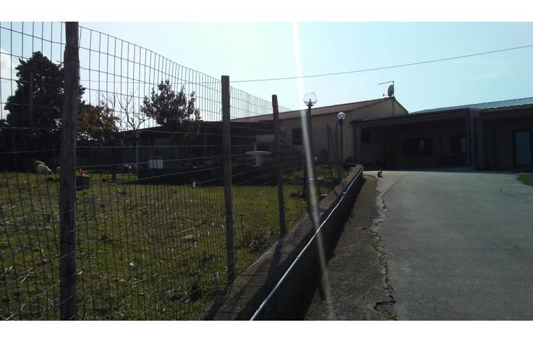 immagine annuncio 5 di 7