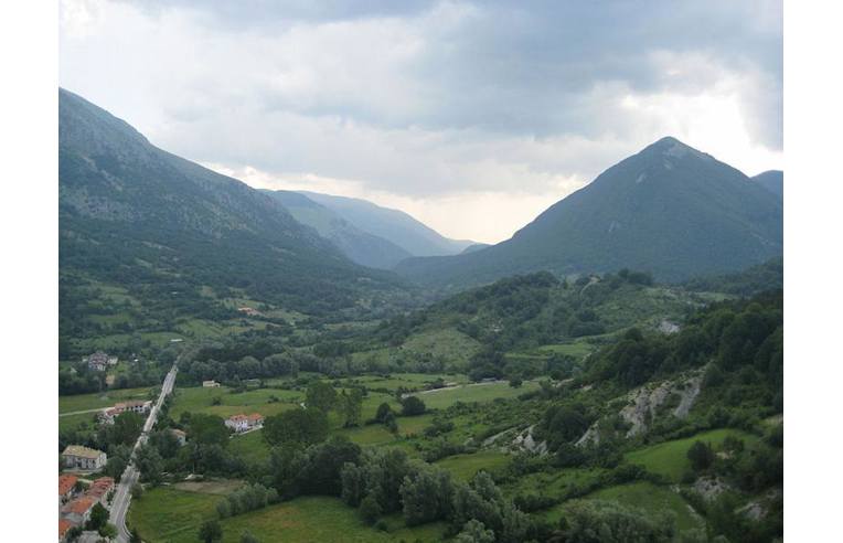 immagine annuncio 6 di 7