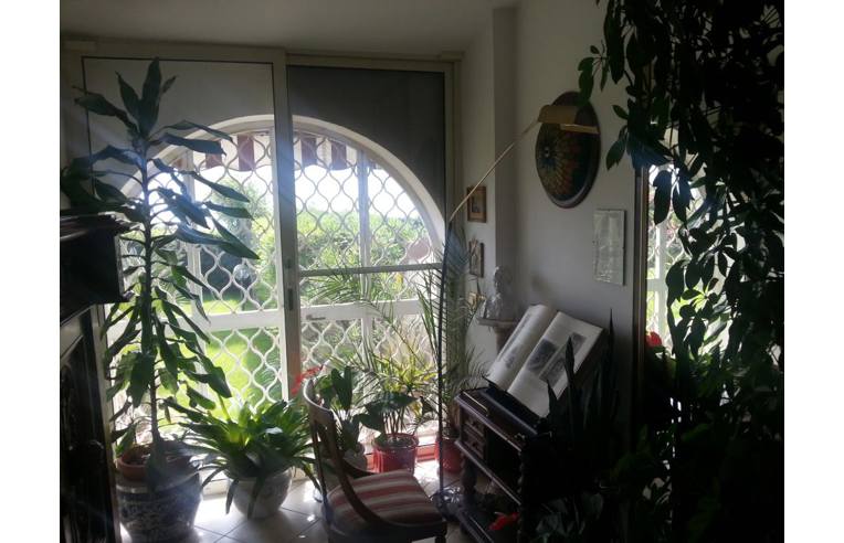 immagine annuncio 5 di 7