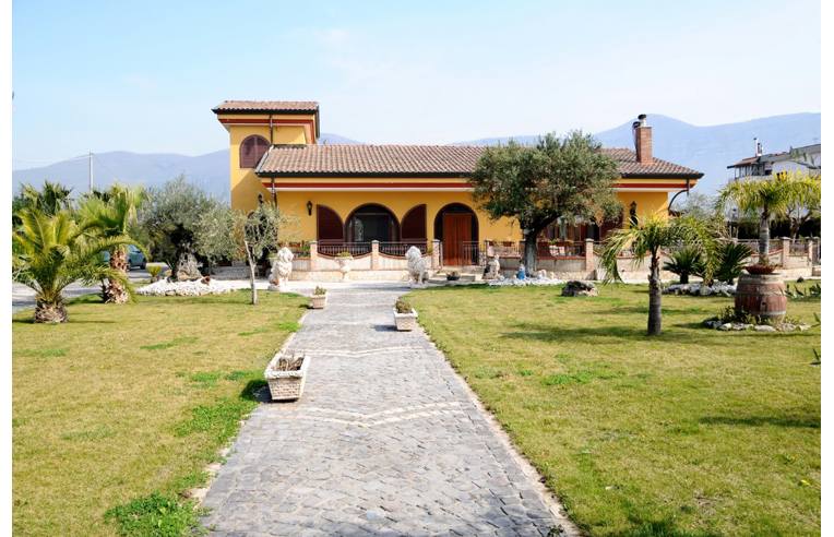 immagine annuncio 1 di 7