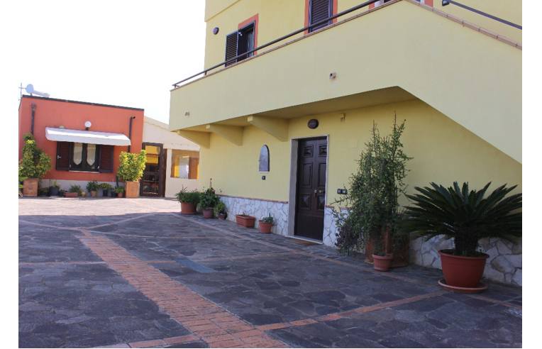 immagine annuncio 6 di 7