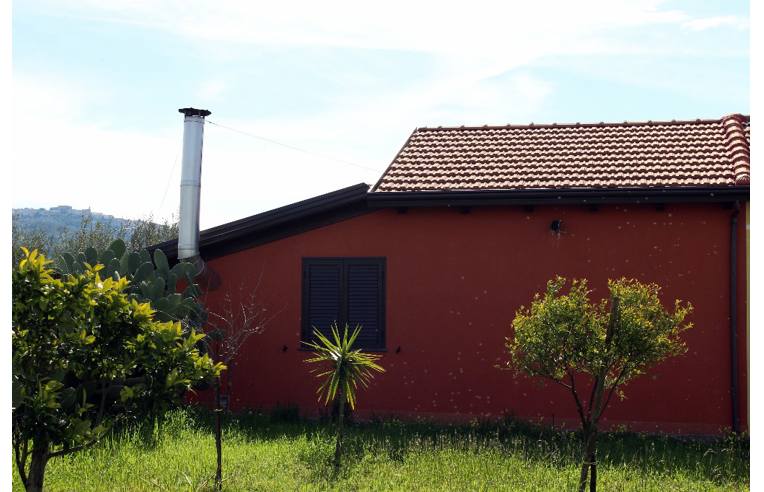 immagine annuncio 5 di 7