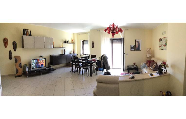 immagine annuncio 3 di 7