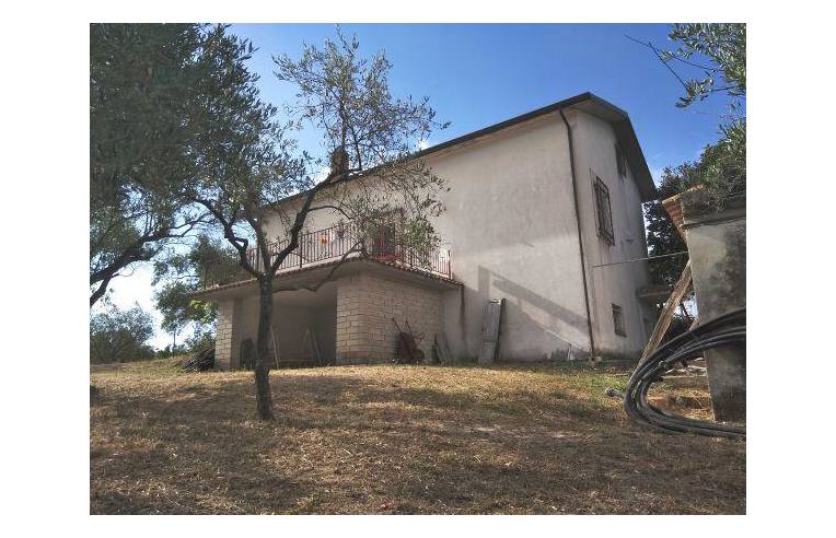 immagine annuncio 5 di 7