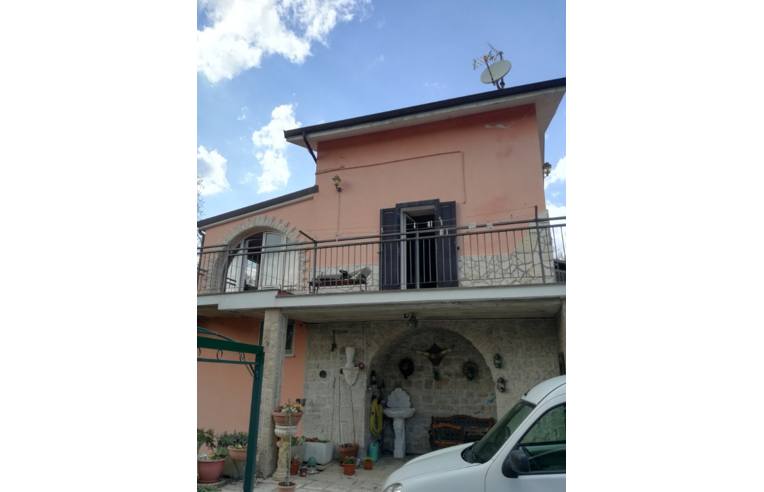 immagine annuncio 4 di 6