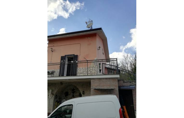 immagine annuncio 3 di 6