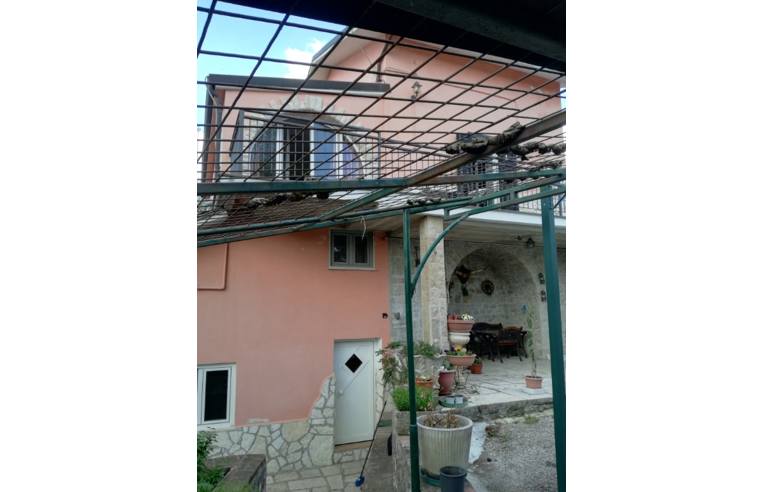 immagine annuncio 5 di 6