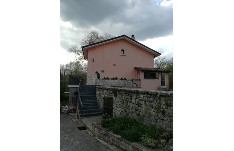 immagine annuncio 2 di 6