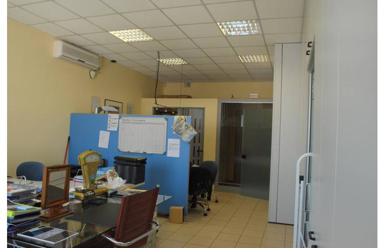 immagine annuncio 1 di 4