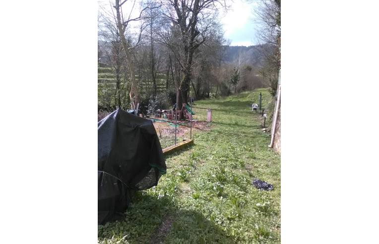 immagine annuncio 4 di 7