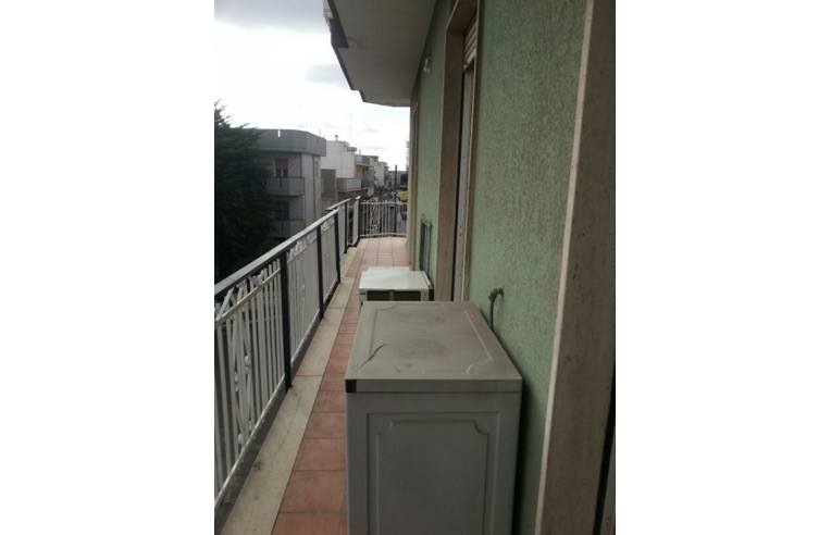 immagine annuncio 5 di 7