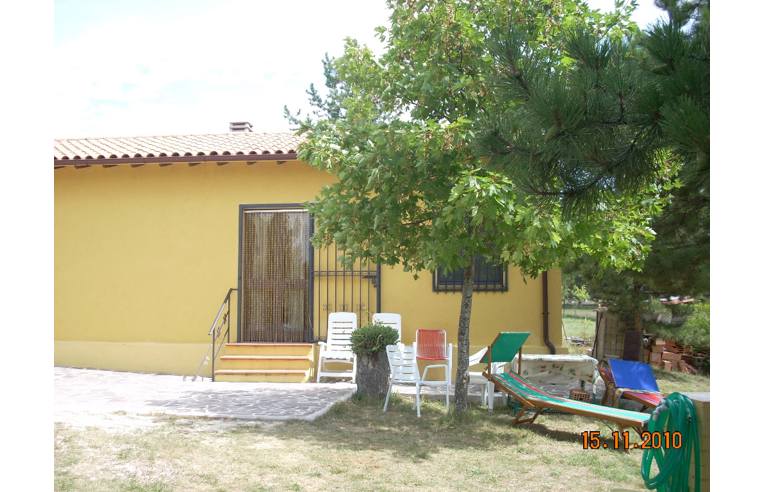 immagine annuncio 2 di 3