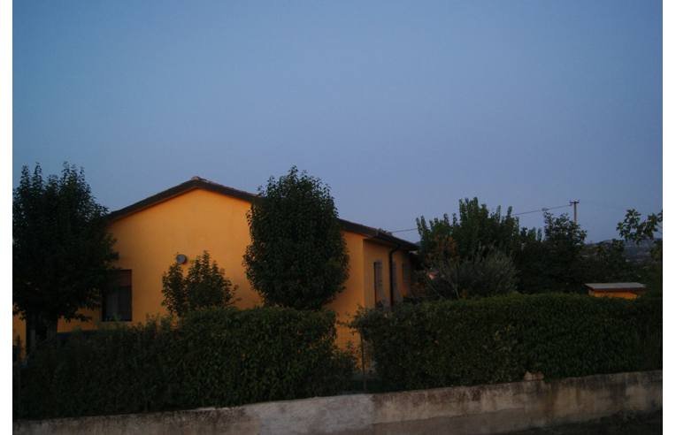 immagine annuncio 5 di 7