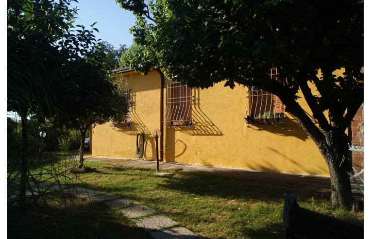 immagine annuncio 3 di 7