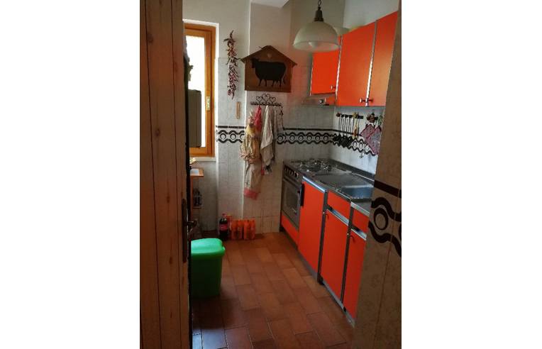 immagine annuncio 5 di 7