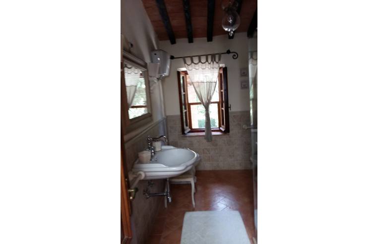Foto 3 - Affitto Rustico/Casale Vacanze da Privato - Cetona (Siena)