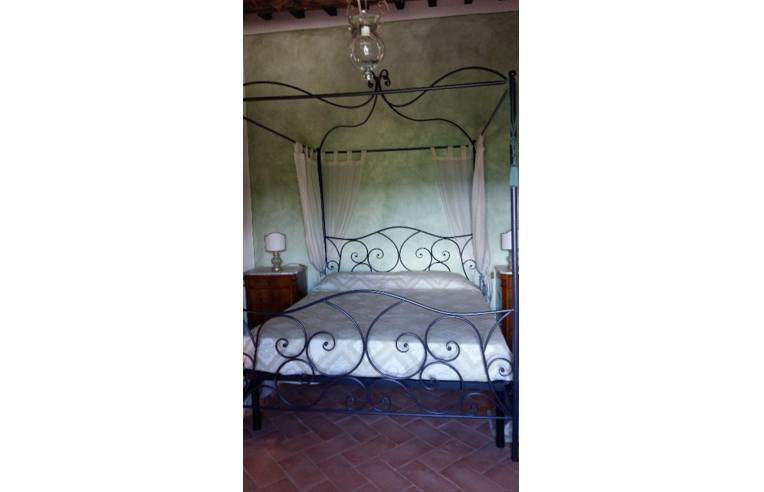 Foto 2 - Affitto Rustico/Casale Vacanze da Privato - Cetona (Siena)