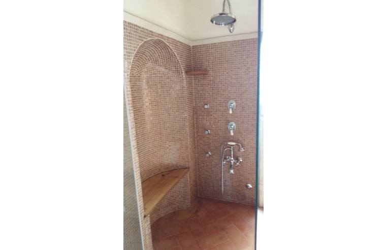 Foto 8 - Affitto Rustico/Casale Vacanze da Privato - Cetona (Siena)