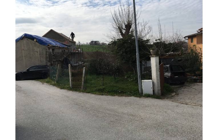 immagine annuncio 3 di 7