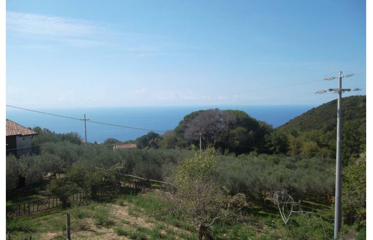 Affitto Appartamento Vacanze a Pisciotta, Frazione Pietralata