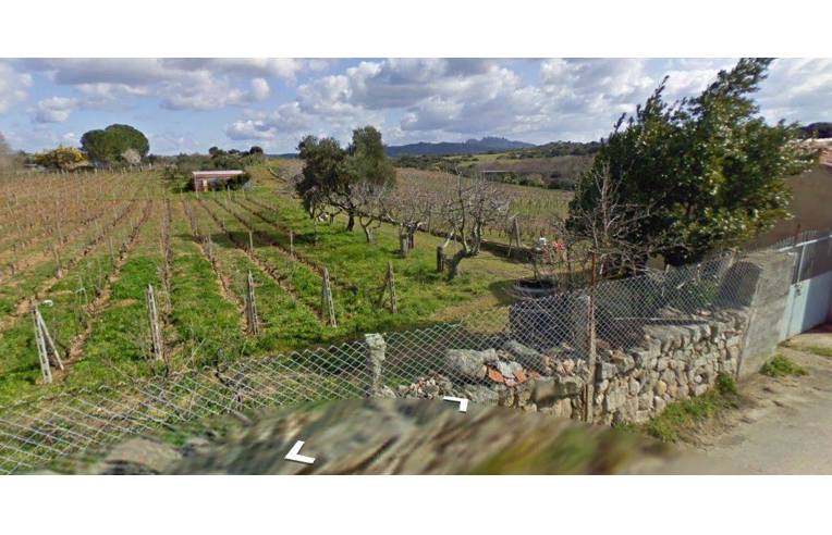 Foto 2 - Rustico/Casale in Vendita da Privato - Luogosanto (Olbia-Tempio)