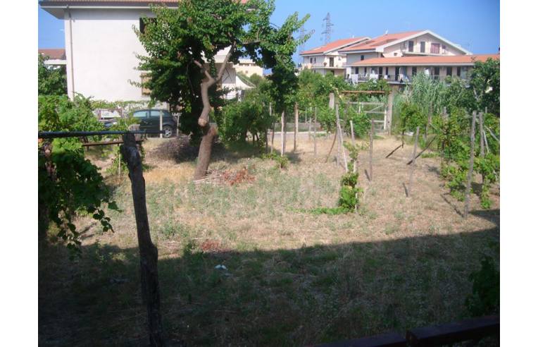 Foto 4 - Appartamento in Vendita da Privato - Amantea (Cosenza)