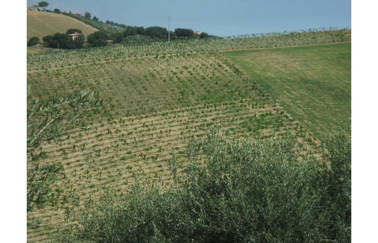 immagine annuncio 4 di 6