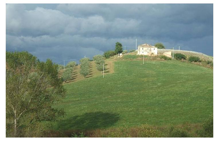 immagine annuncio 1 di 6