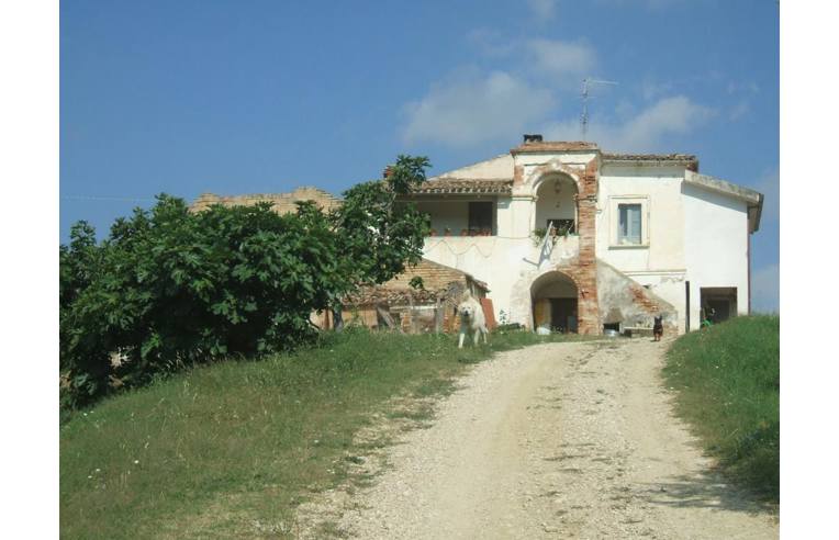 immagine annuncio 3 di 6