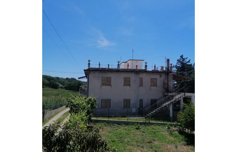 immagine annuncio 4 di 7