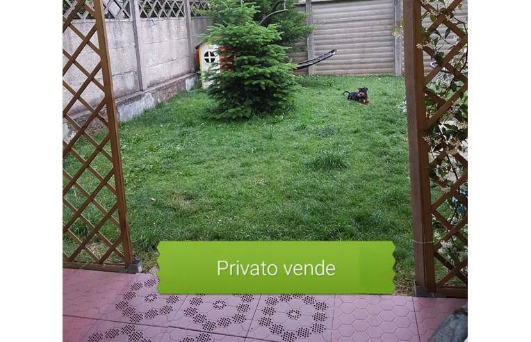 immagine annuncio 1 di 7