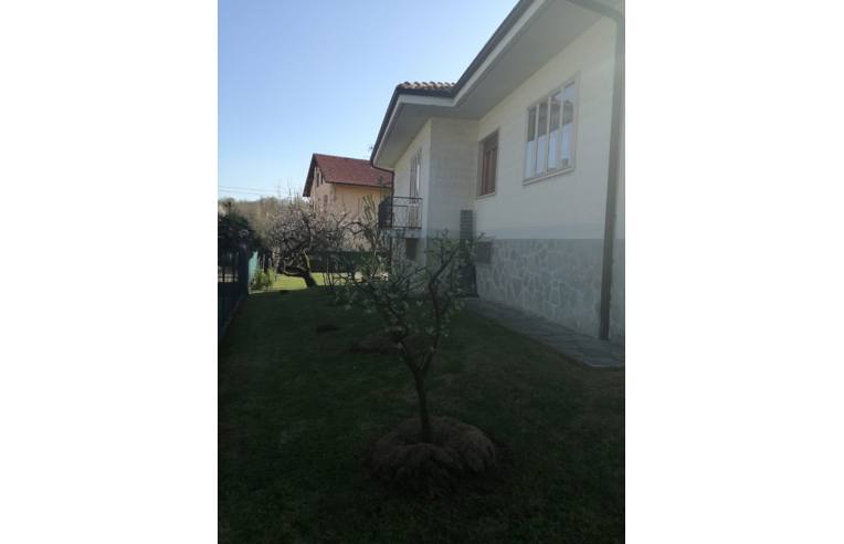 immagine annuncio 4 di 7