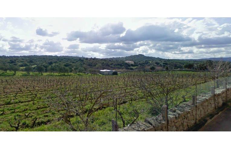 Foto 2 - Rustico/Casale in Vendita da Privato - Luogosanto (Olbia-Tempio)