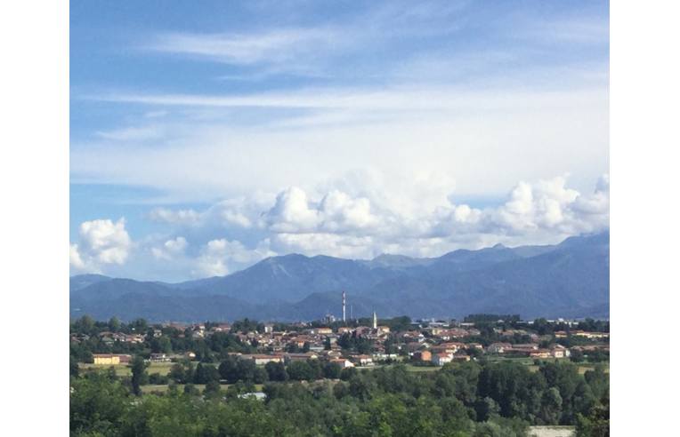immagine annuncio 1 di 7