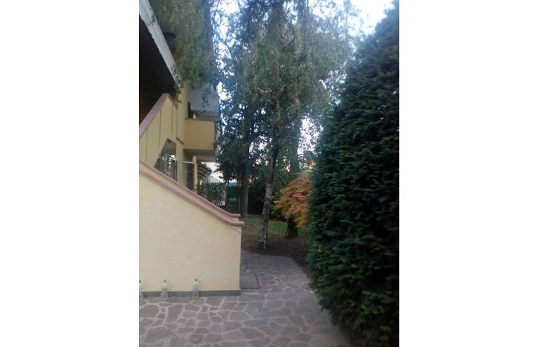 immagine annuncio 5 di 7