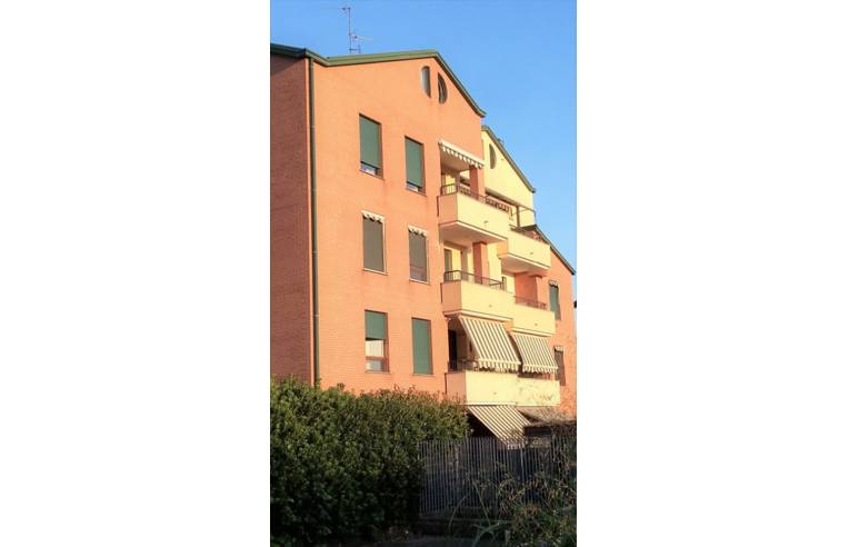 immagine annuncio 3 di 4