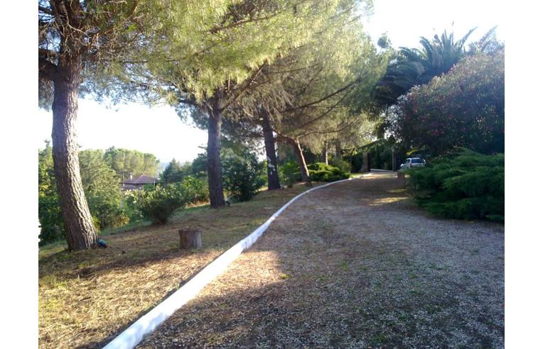 immagine annuncio 5 di 7