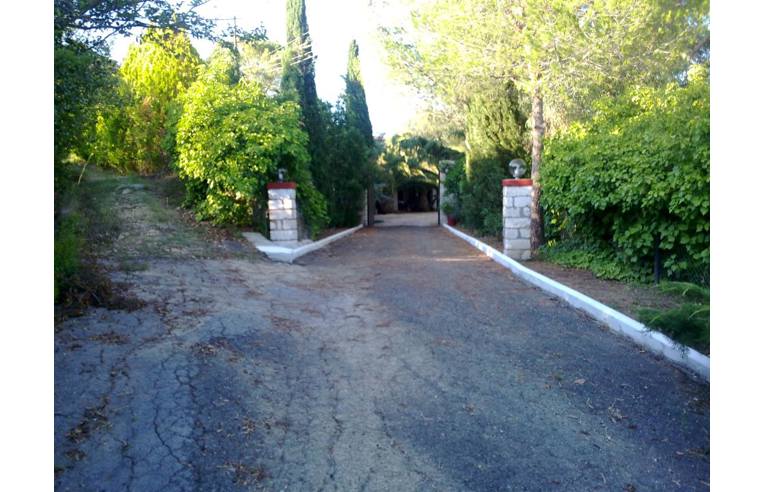 immagine annuncio 6 di 7