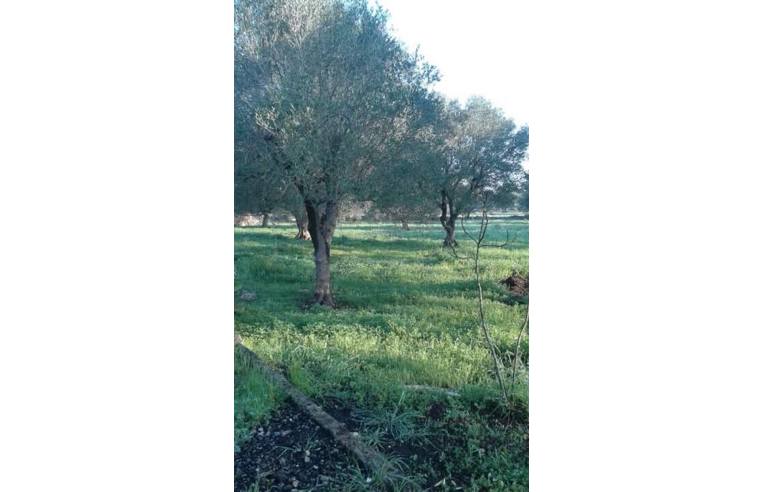 immagine annuncio 3 di 4