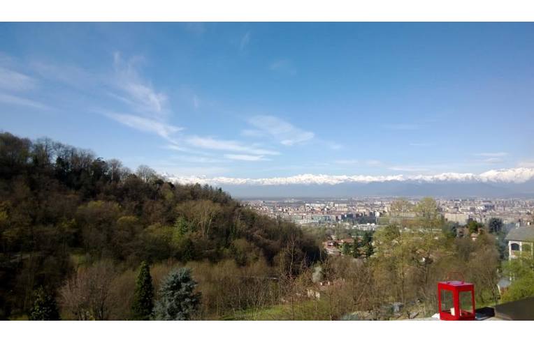 immagine annuncio 2 di 7