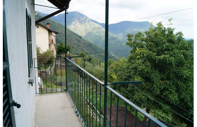 immagine annuncio 4 di 7