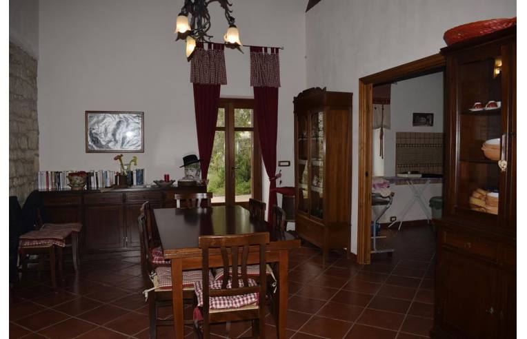 immagine annuncio 4 di 7