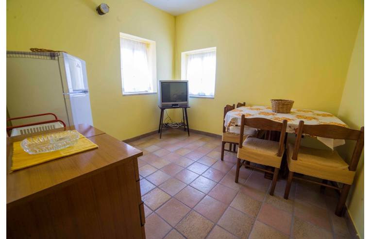 immagine annuncio 6 di 7