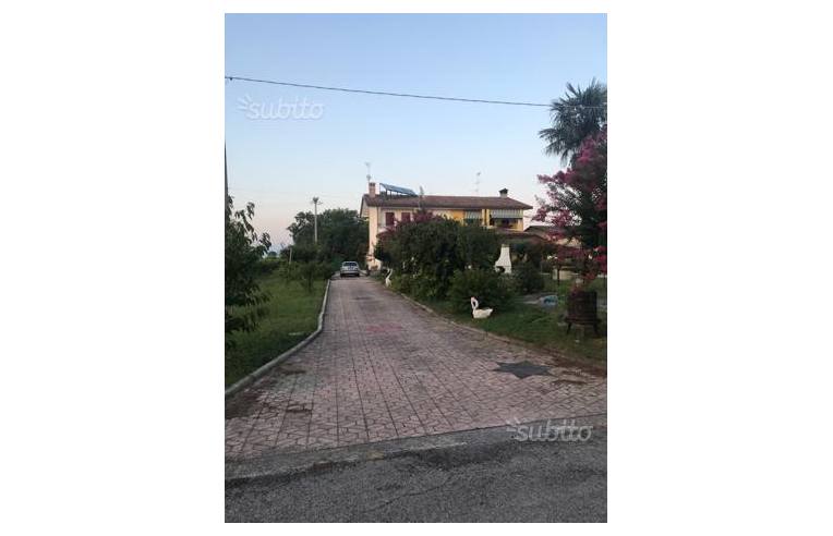 immagine annuncio 1 di 4