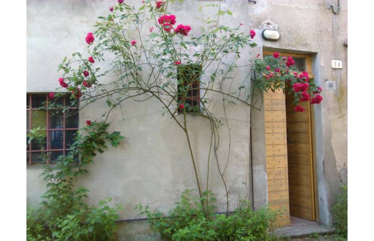 Foto 6 - Rustico/Casale in Vendita da Privato - Pietra de' Giorgi (Pavia)