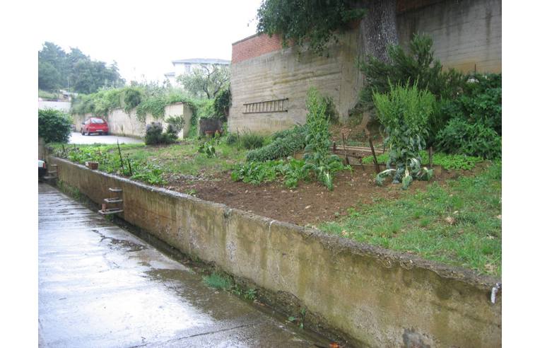 Foto 3 - Appartamento in Vendita da Privato - Pomarance (Pisa)