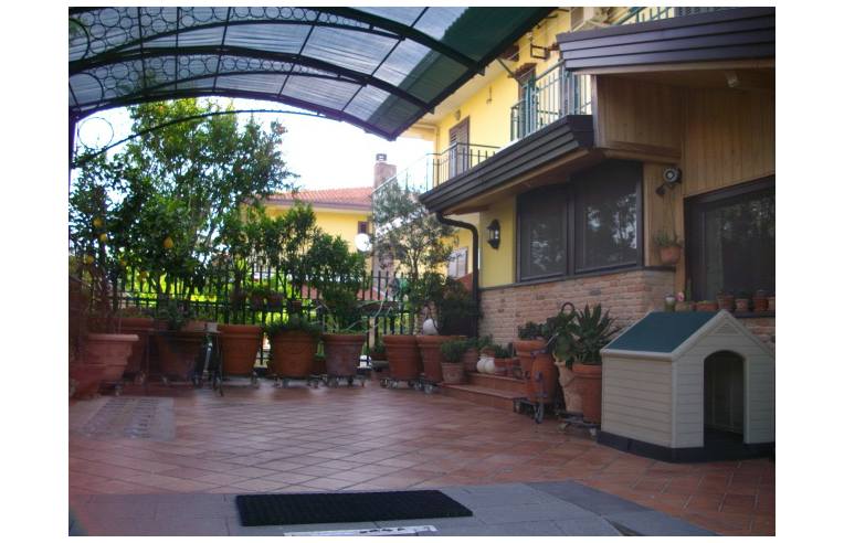 immagine annuncio 5 di 7