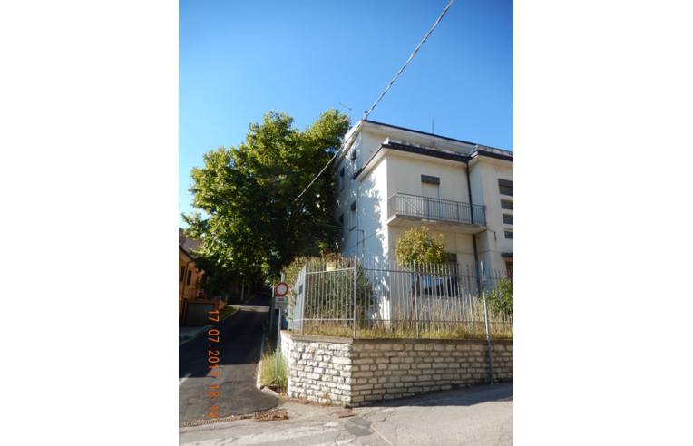 immagine annuncio 3 di 4