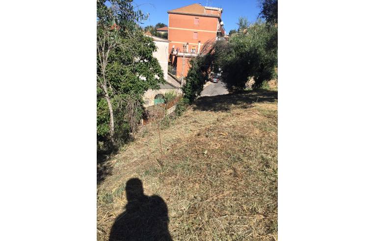 immagine annuncio 4 di 7