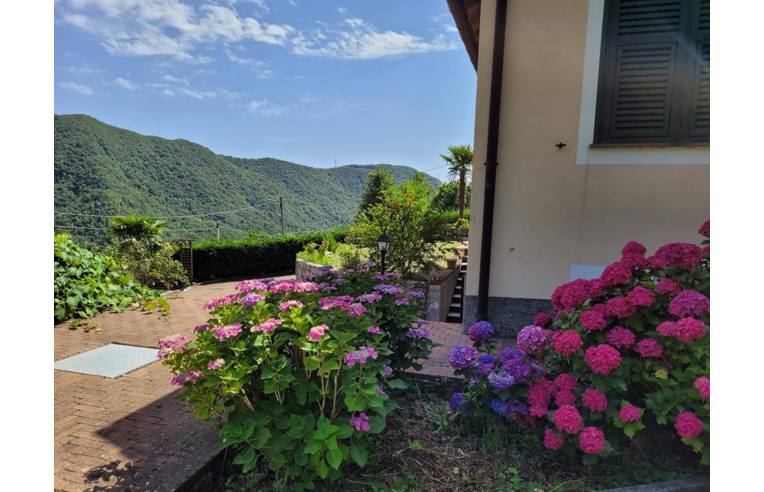 immagine annuncio 6 di 7